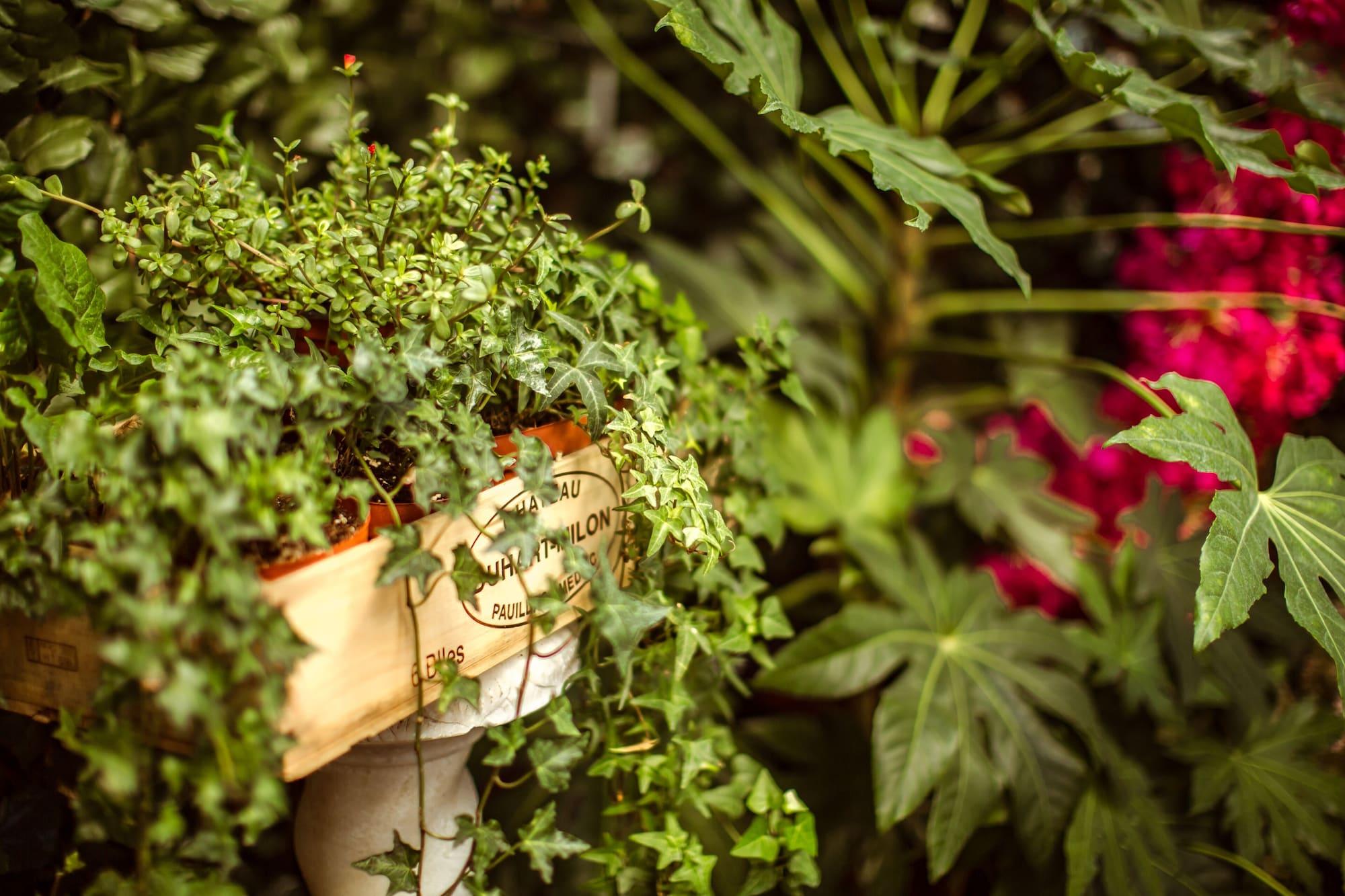 Bed & Breakfast La Maison Gobert Particulier Parigi