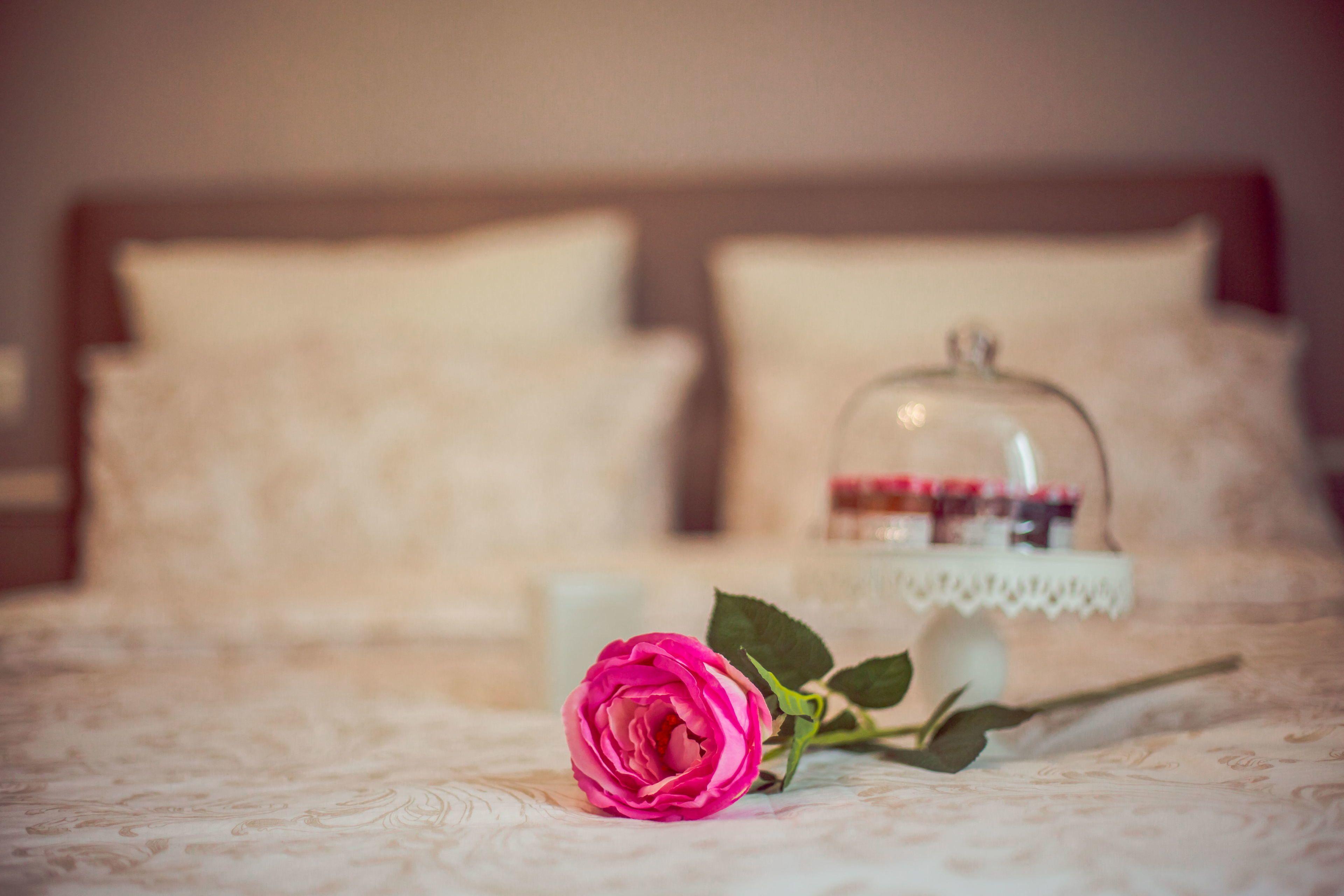 Bed & Breakfast La Maison Gobert Particulier